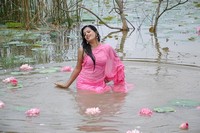 Roopa Kaur Spicy Stills